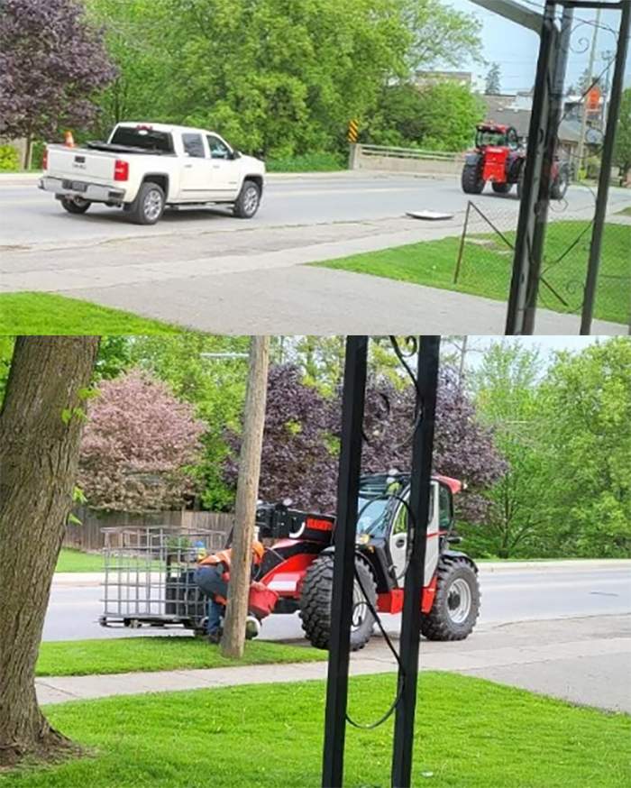 Surveillance images released by OPP in connection with an investigation into the theft and defacing of pride flags.