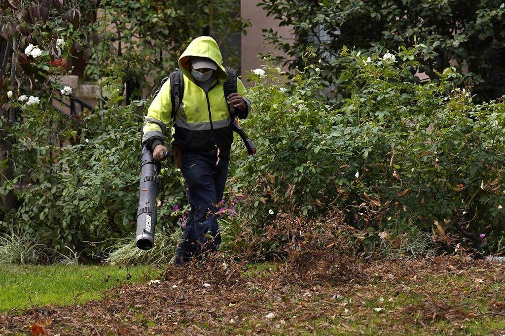 A gardener uses a leaf blower to clear leaves at a home in Sacramento, Calif., on Oct. 13, 2021.
