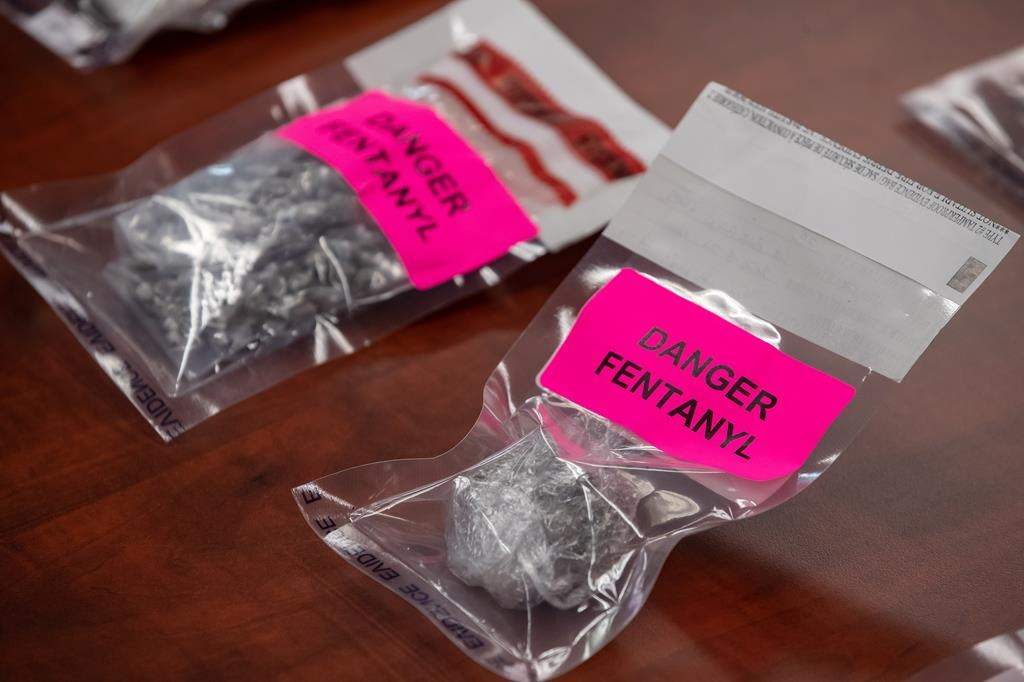 Evidence bags containing fentanyl are displayed during a news conference at Surrey RCMP Headquarters, in Surrey, B.C., on Thursday, Sept. 3, 2020.