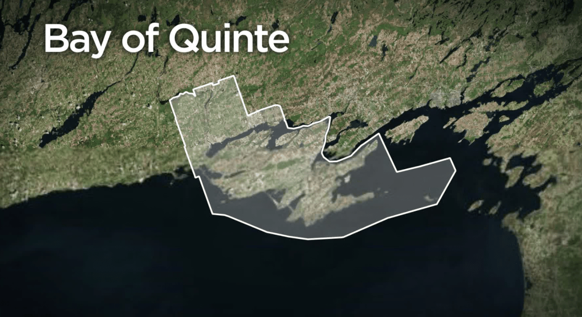 Todd Smith is seeking re-election in the riding of Bay of Quinte, a riding he's held since 2011.