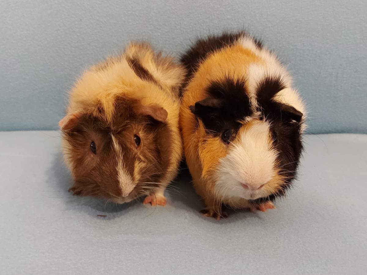 Photo from Popcorns and Binkies