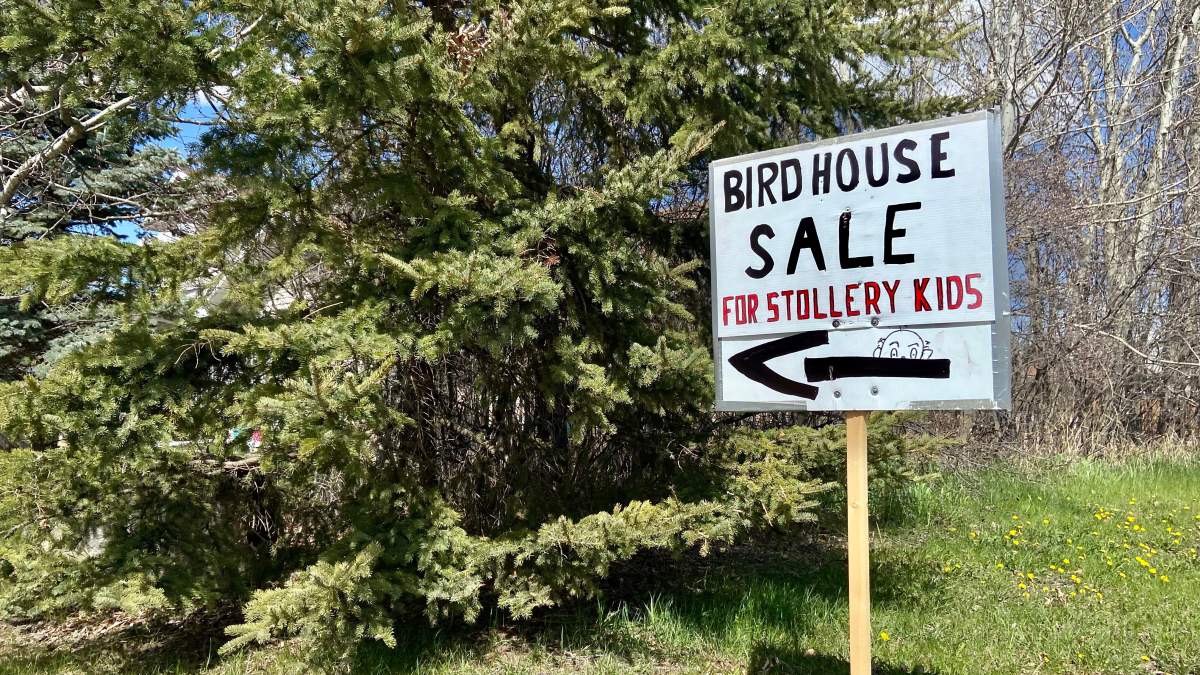 Birdhouse Sale