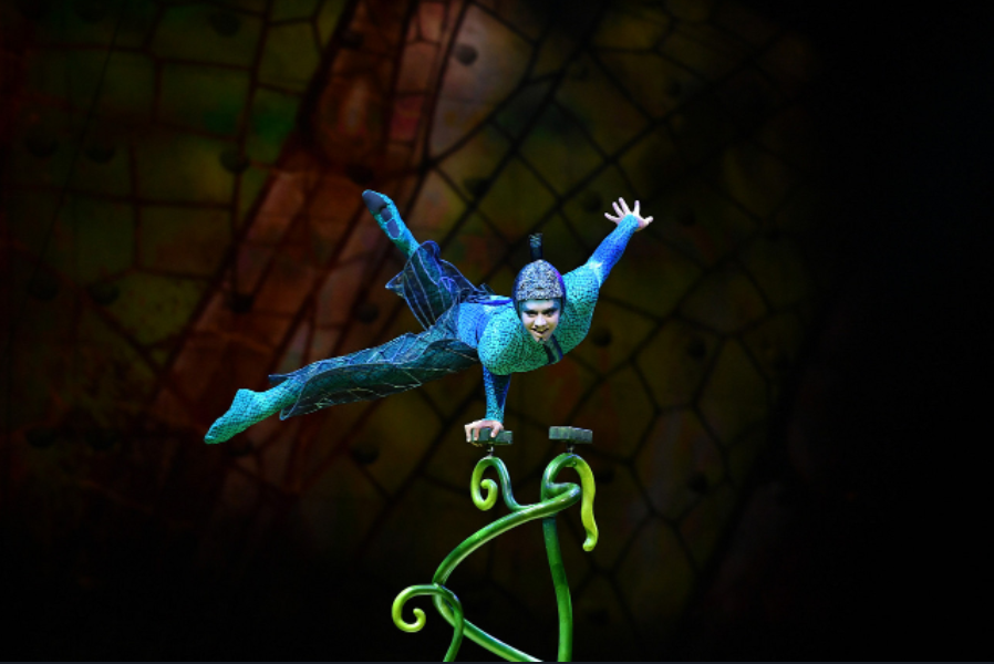 Saskatchewan residents will get to see the insect inspired performance this summer in both Regina and Saskatoon.