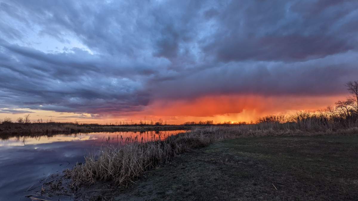 your saskatchewan sunset lisa boychuk