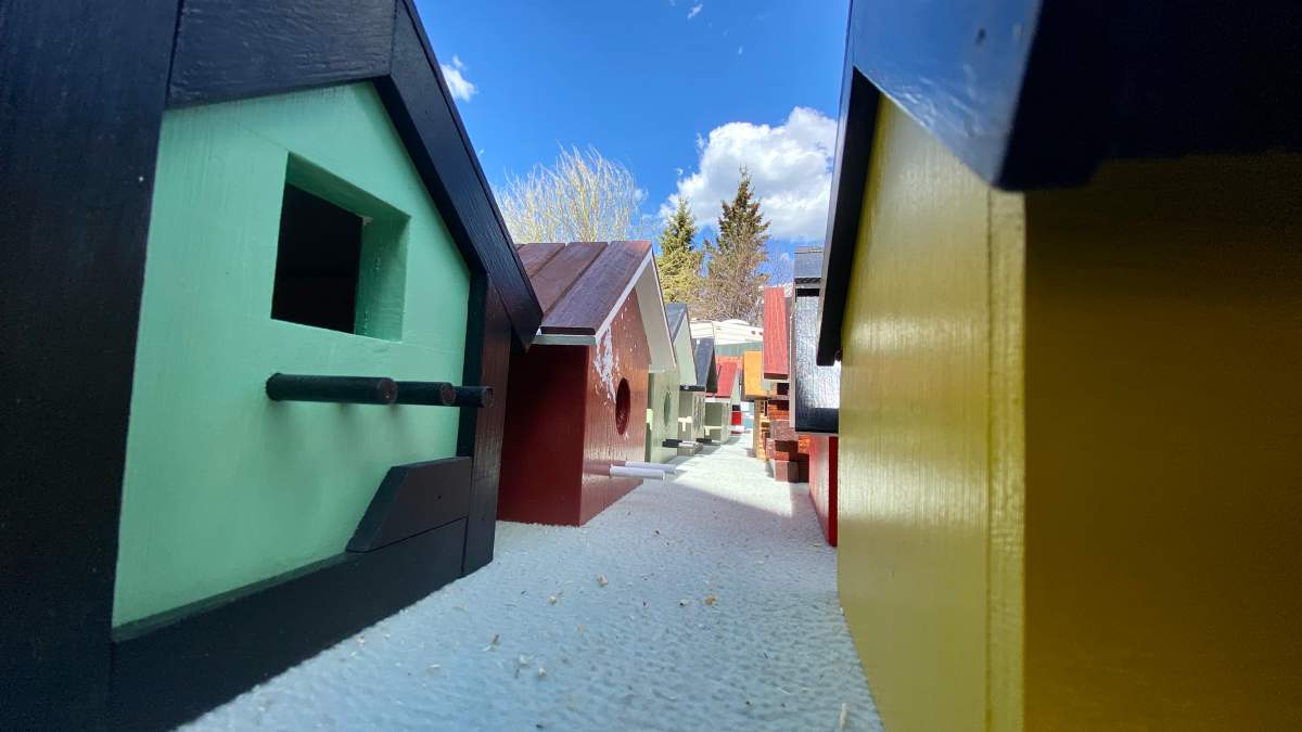 A selection of Laberge's birdhouse inventory.