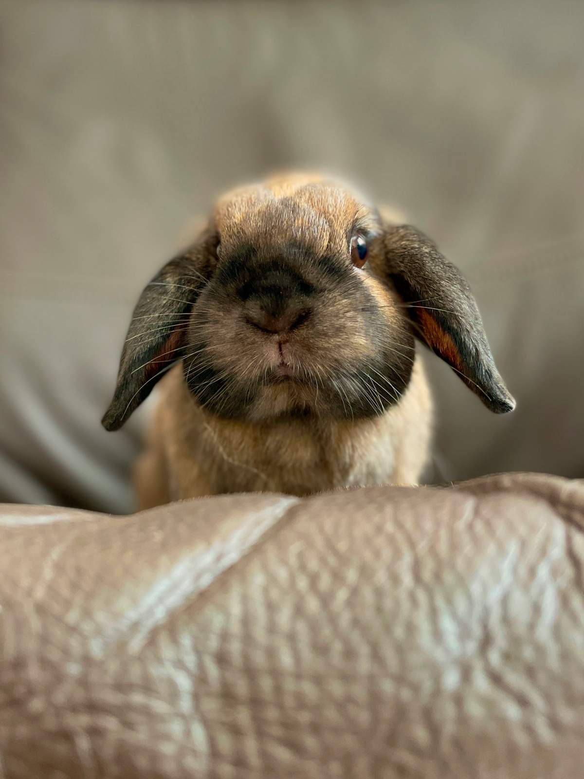 Photo from Popcorns and Binkies