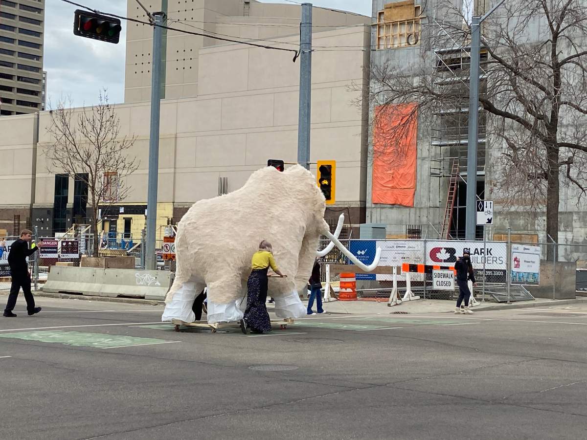 Ren the life-sized woolly mammoth lantern sculpture made a journey through downtown Edmonton Monday, May 16, 2022.