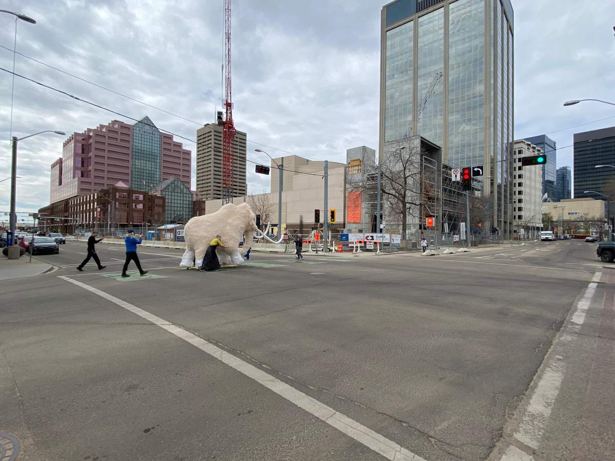 Ren the life-sized woolly mammoth lantern sculpture made a journey through downtown Edmonton Monday, May 16, 2022.