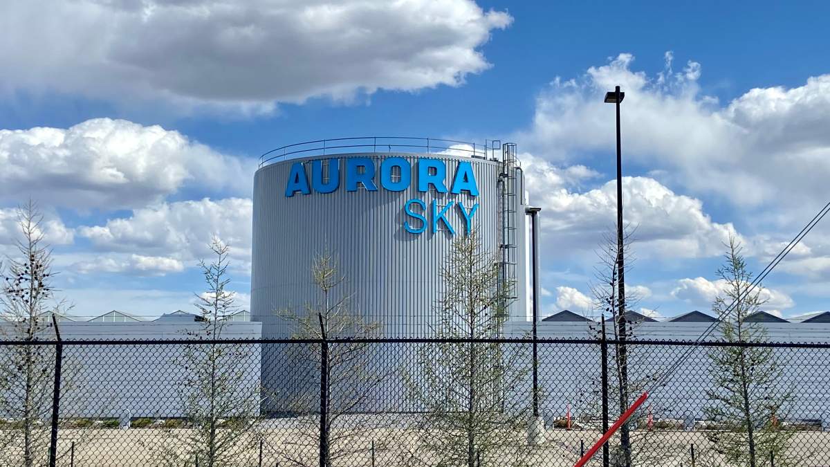 Aurora Sky