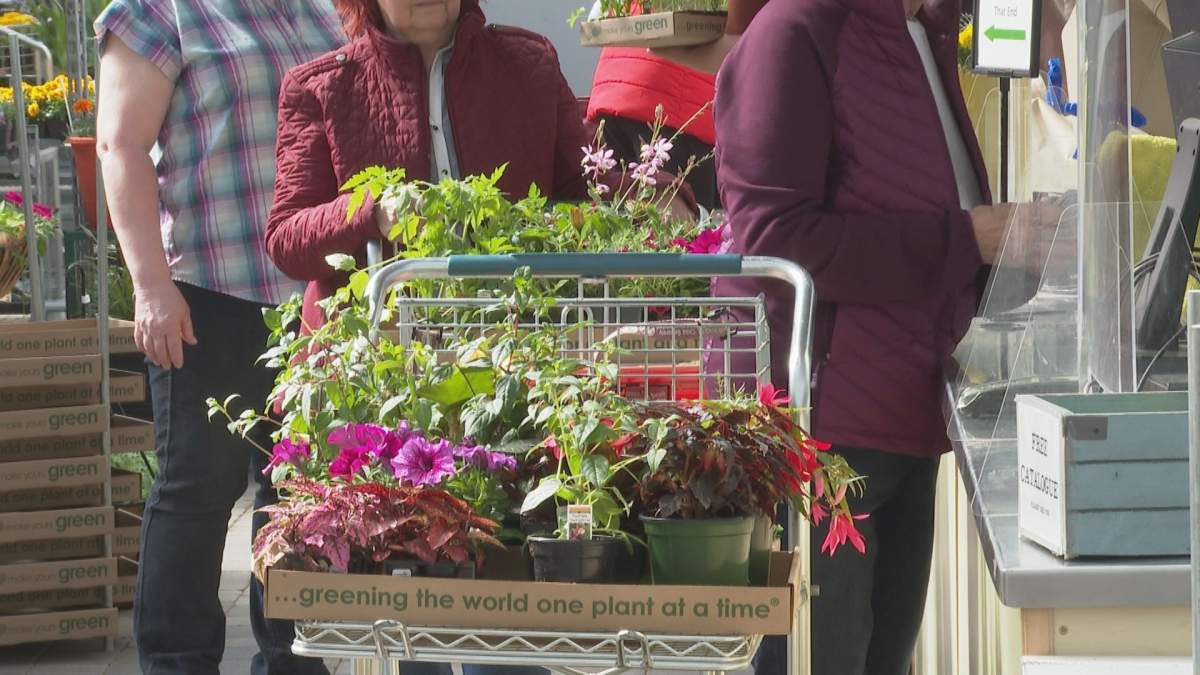 Gardener's in Lethbridge were eager to get their plants before mother's day on Friday, May 6