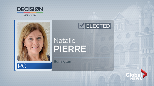 Hamilton’s east side provided city’s only new face as incumbents hang tight in 2022 election - image