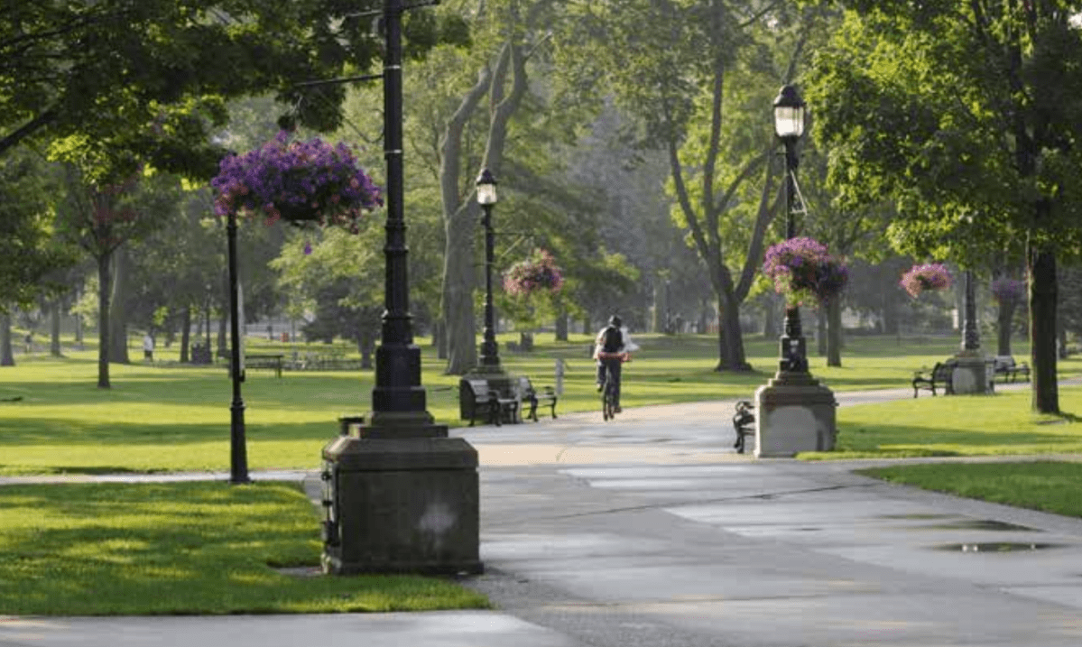 A photo of a city park with someone on a bicycle in the background.