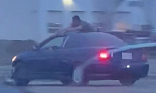 RCMP are looking for witnesses after a hit-and-run incident ended with the victim taking a ride on the roof of a car.