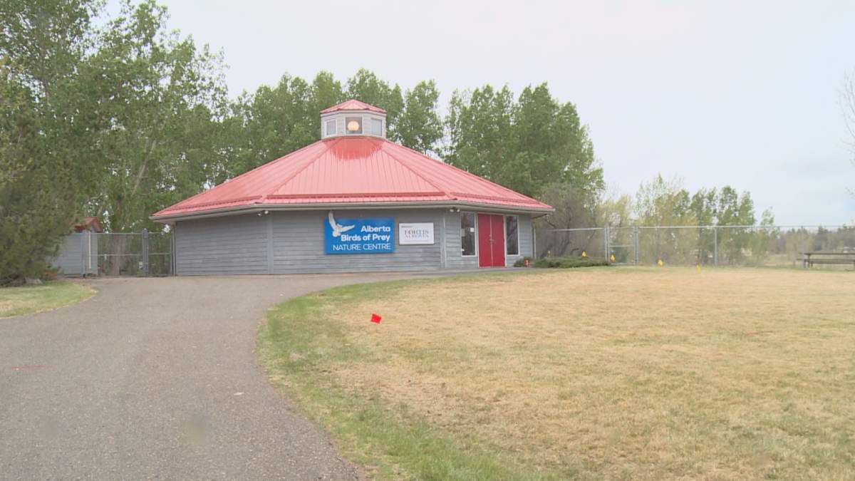The Alberta Birds of Prey Centre is located in Coaldale, Alta.