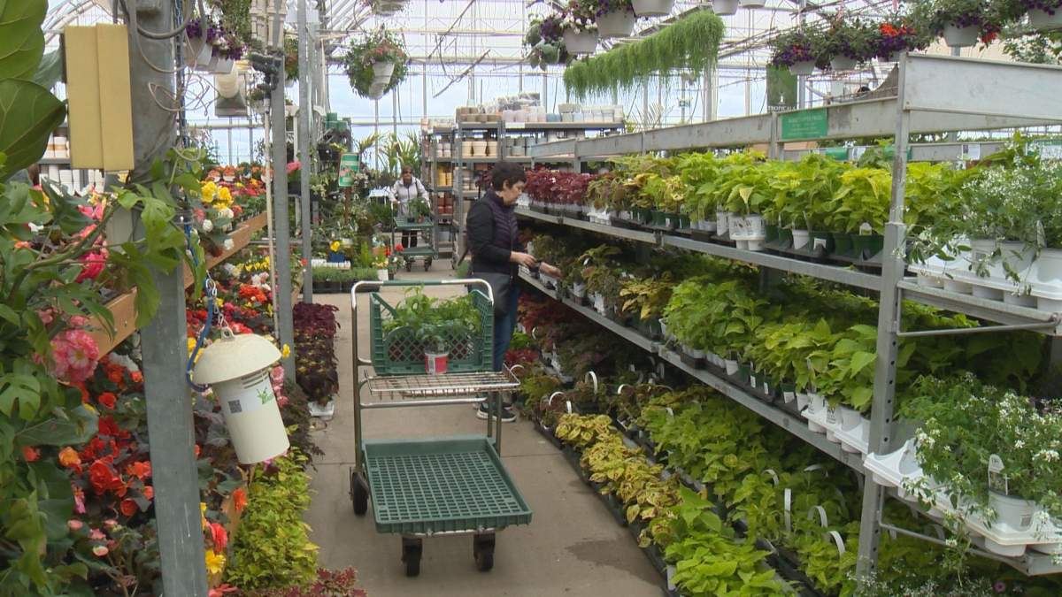 Dutch Growers Garden Centre in Saskatoon.