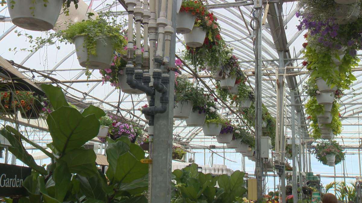 Dutch Growers Garden Centre in Saskatoon.