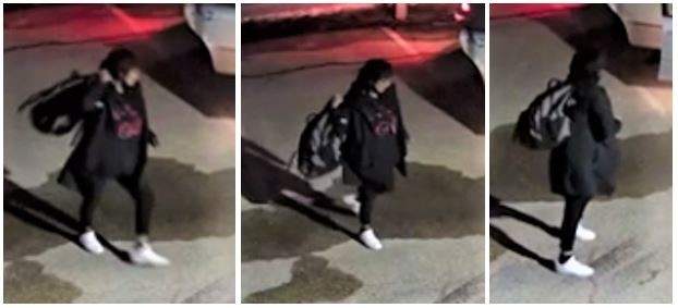 Winnipeg police are looking to identify two people who may have witnessed a fatal crash in April.