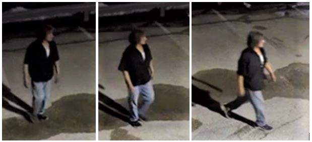 Winnipeg police are looking to identify two people who may have witnessed a fatal crash in April.