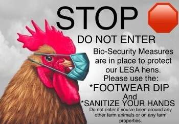 Nikki Pike has multiple signs at her doorway advising visitors to take precautions against spreading avian flu to her flock of backyard hens.