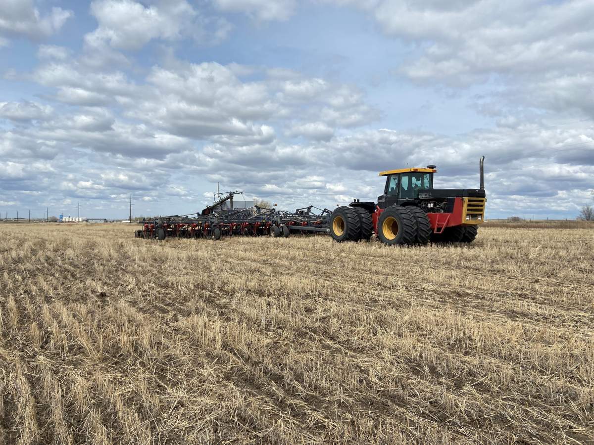 Seeding