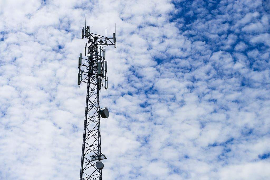 A cell tower. THE CANADIAN PRESS/Sean Kilpatrick.