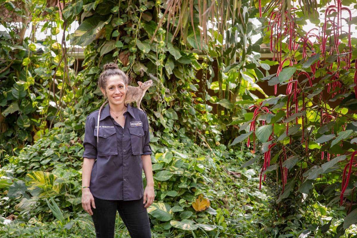 Senior APOPO researcher and animal behavioural scientists Donna Kean with one of her trainee rescue rats.