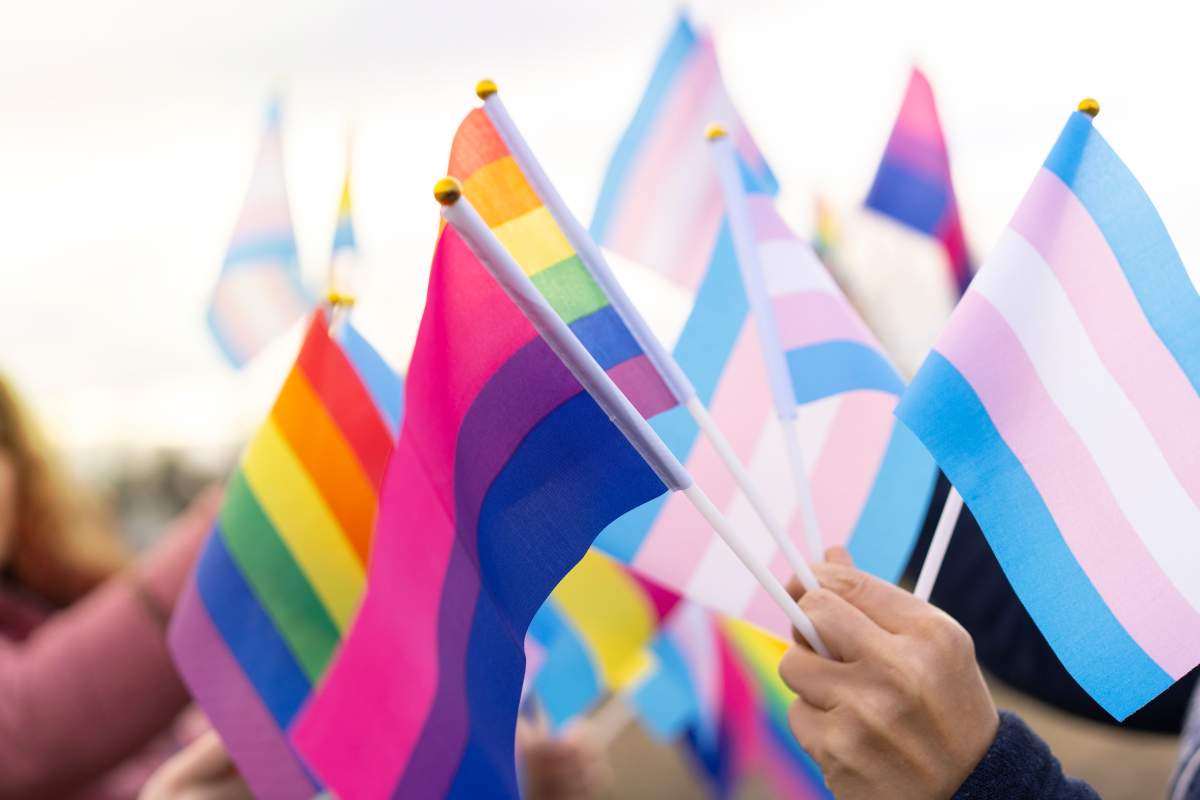 The pink, purple and blue bisexual flag, surrounded by flags for transgender and gay people.