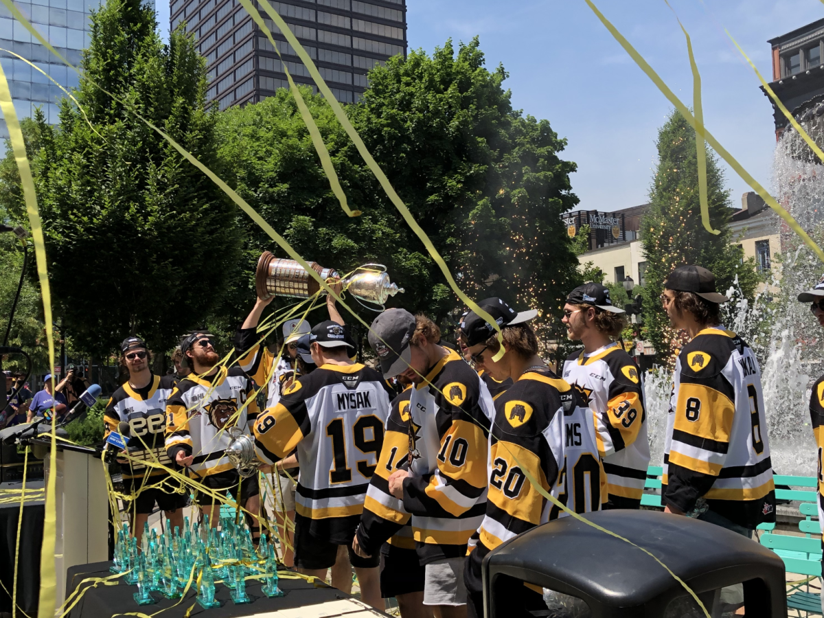 Hamilton Bulldogs celebrate their OHL championship win in Gore Park.