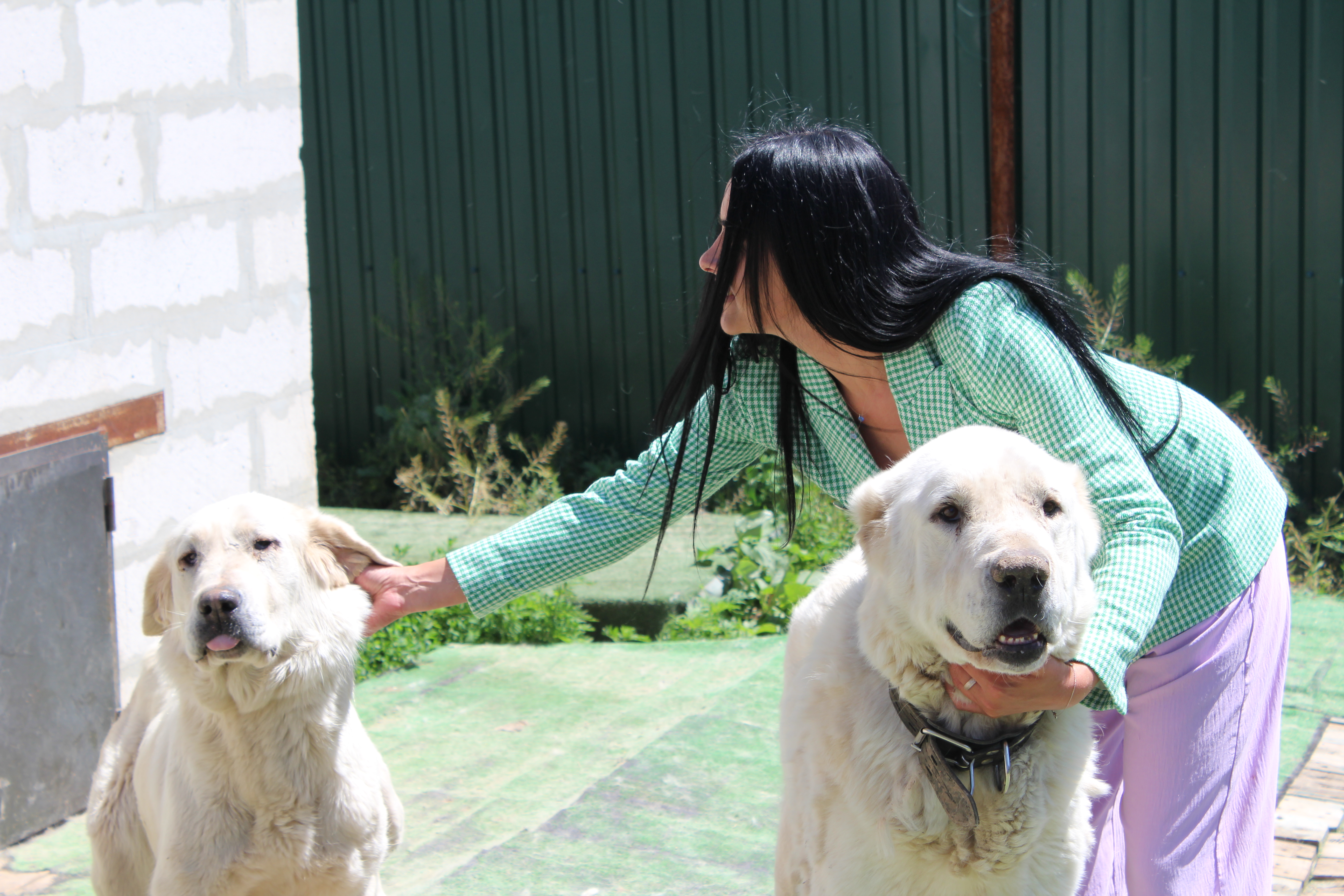 Karolina Perlifon with her dogs, Poltava, Ukraine, June 26, 2022.