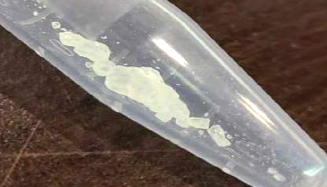 meth in Kelowna and Vernon have been found to contain benzodiazepine.