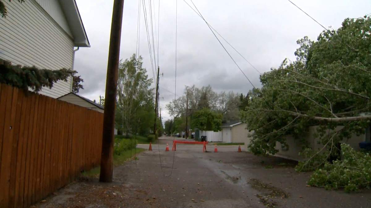 A downed power line in Calgary is pictured on June 14, 2022.