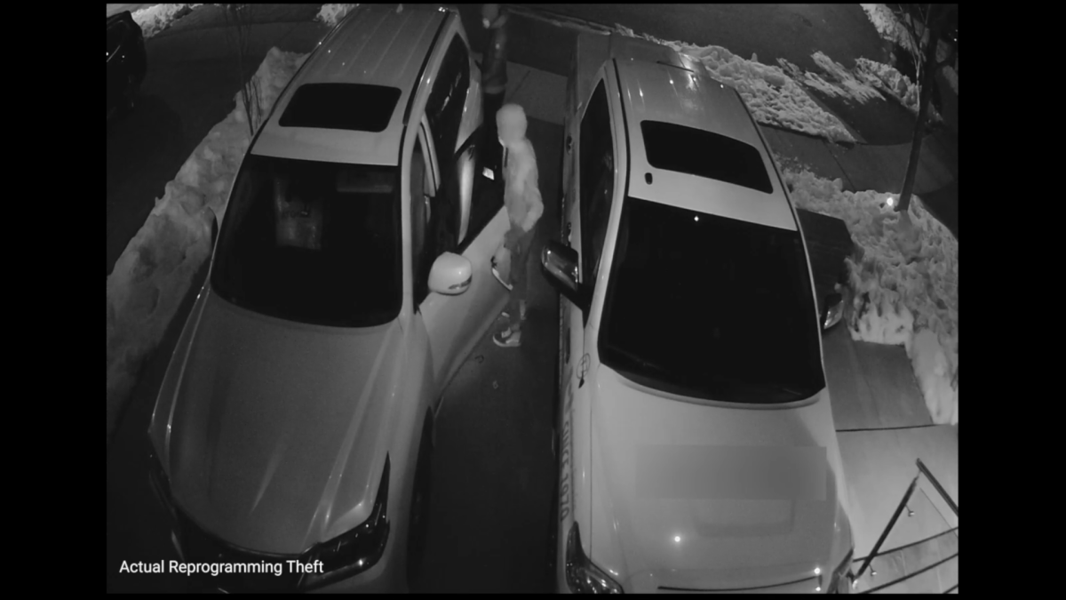vehicle theft
