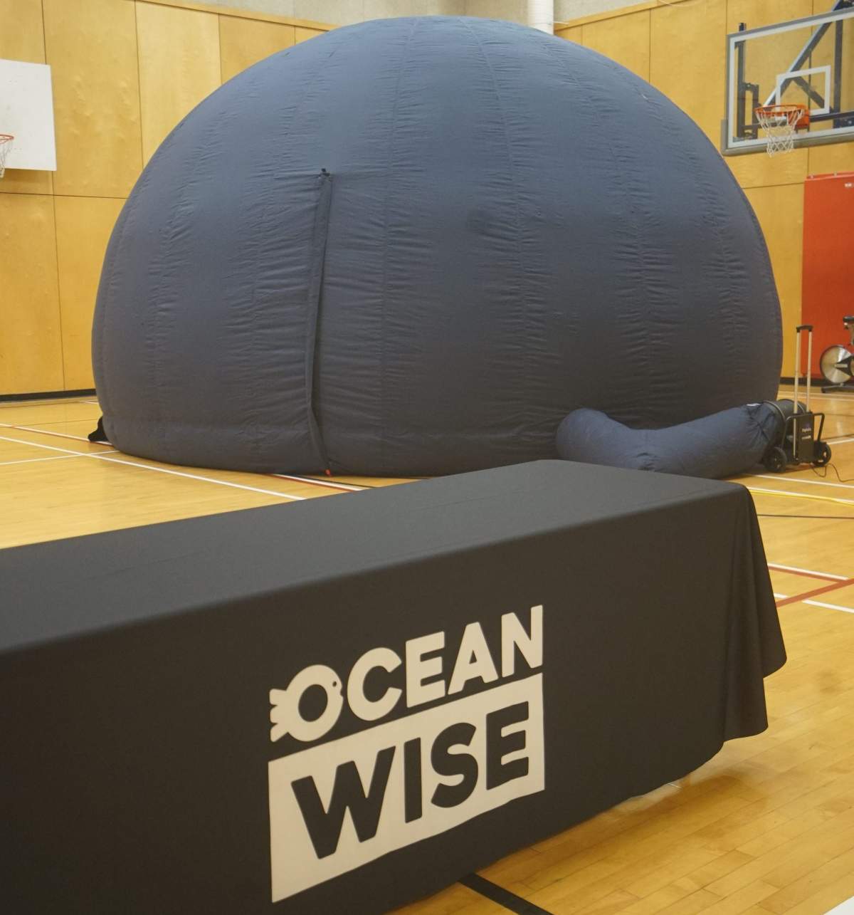 Four Saskatoon schools will house a travelling brand-new Ocean Wise Sea Dome where students can see ocean creatures and learn about climate change.