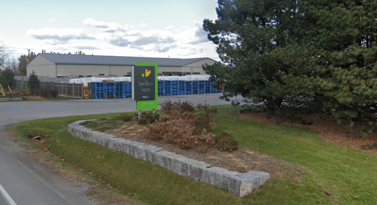 A flower wholesaler says a 36-year-old migrant worker was struck and killed by a vehicle near St. Catharines while walking with friends on Seventh Street Louth June 13, 2022.