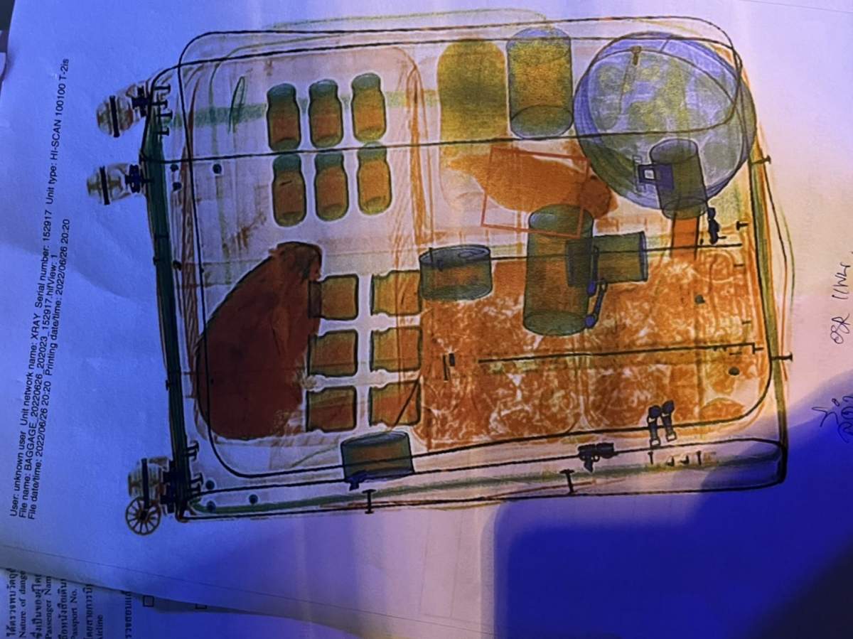 X-ray image of luggage that was found to contain wild animals as part of a smuggling operation out of a Thailand airport.