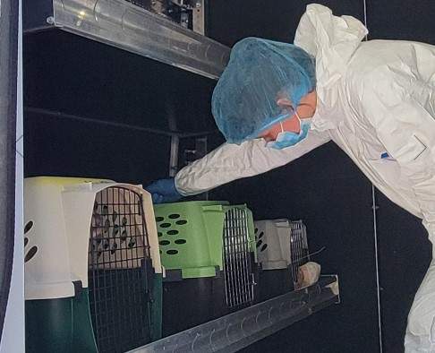 The BCSPCA said the entryway and hallway to the bedrooms were covered in layers of feces and the entire trailer was very hot and filled with an overwhelming ammonia smell due to the build-up of urine