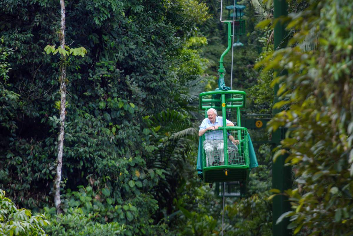David Attenborough