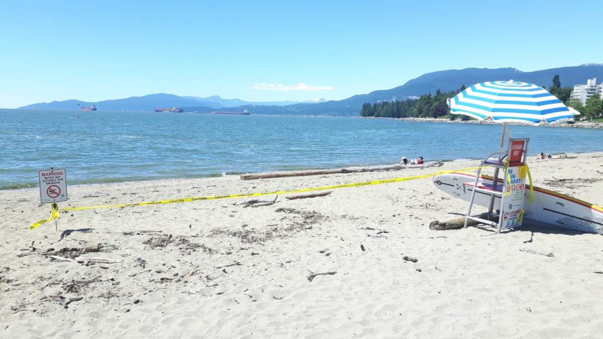 Signs warning the public not to swim at the beach at English Bay on Friday.