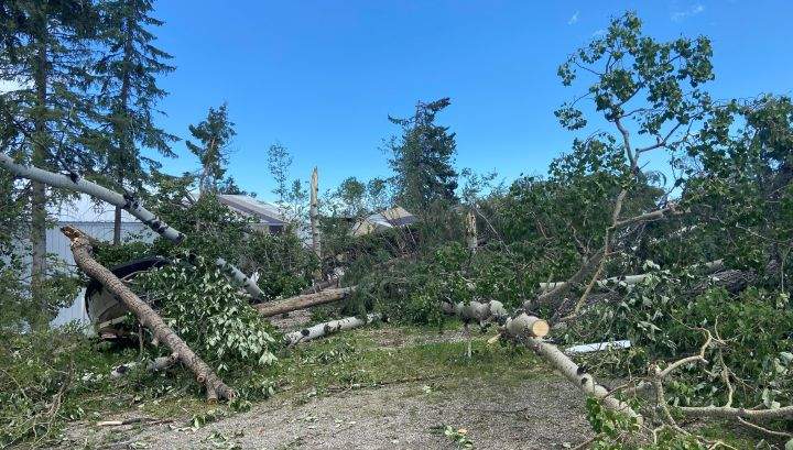 Image of damage in the Bergen, Alta., area on July 8, 2022, one day after a vicious storm passed through the region.