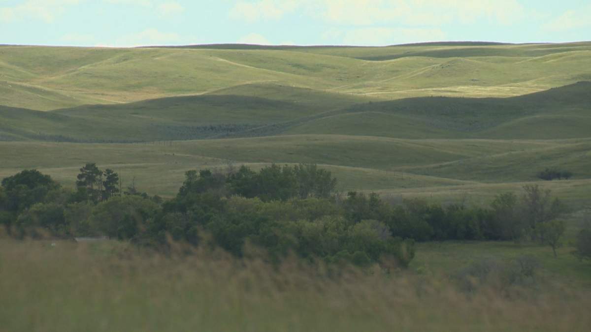 The Brieres’ Mankota-area ranch is about 150 km southeast of Swift Current.