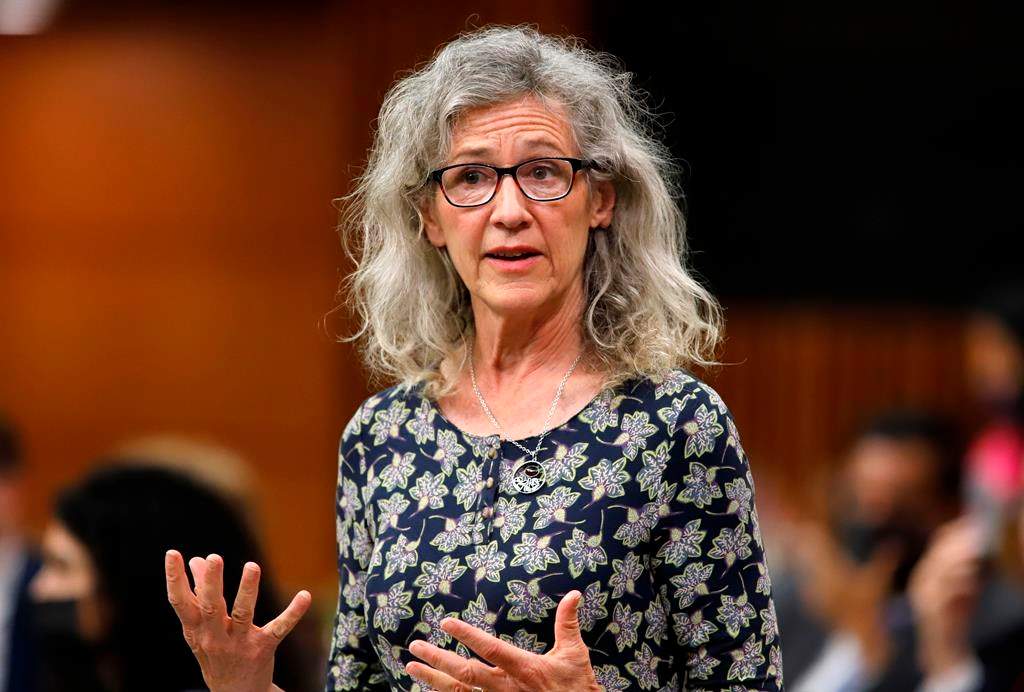 On Thursday, Murray's office said fisheries officers are enforcing the Fisheries Act and working with the RCMP and other agencies to "combat illegal fishing" of baby eels. THE CANADIAN PRESS/ Patrick Doyle.