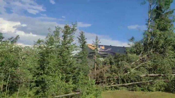 Image of the aftermath of a severe storm near Bergen, Alta., on July 7, 2022.