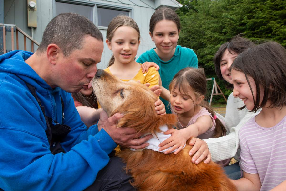Ted Kubacki gets a lick from the family golden retriever, Lulu, outside their house after being reunited in Sitka, Alaska, on Thursday, July 7, 2022. The elderly, blind dog who had been missing three weeks, was found Tuesday, July 5, 2022, by a construction crew. Behind Ted is his wife, Rebecca, and their children Ella, Viola, Star, Lazaria and Olive.