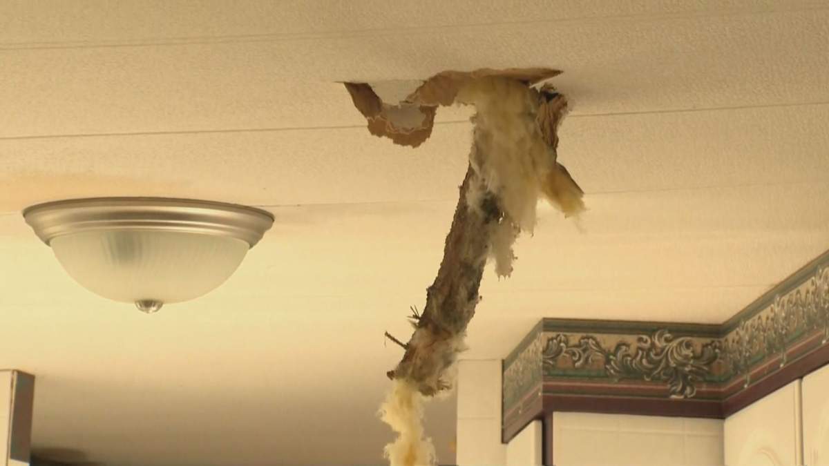 A tree came through the roof of Ed Doehring’s house and into his kitchen during Monday’s wind storm.
