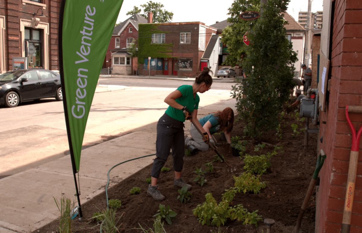 Green Venture continues to turn wasted concrete and asphalt surfaces on Hamilton Street into more efficient green spaces aiding rainwater runoff and cooling off neighbourhoods.