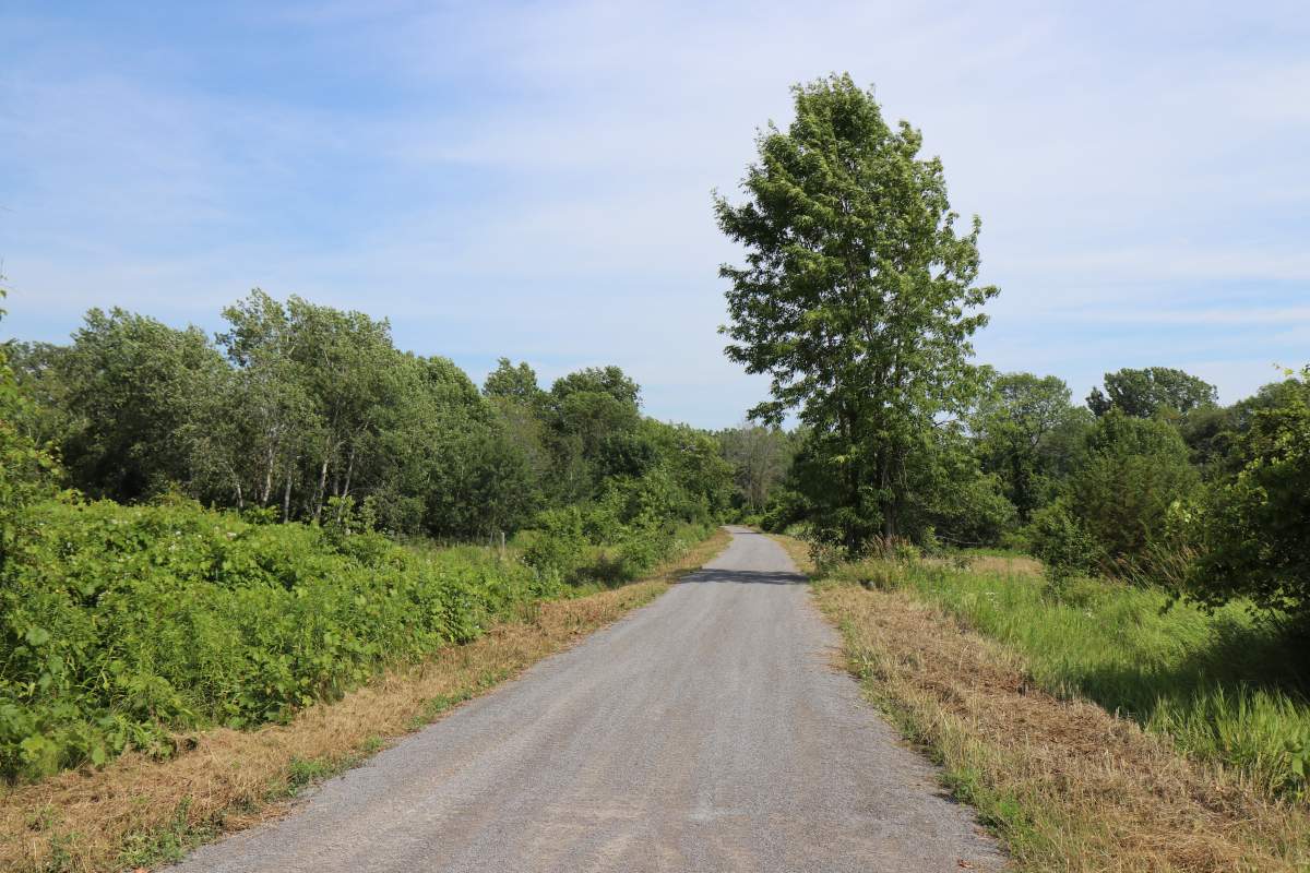 Prince Edward County's Millennium Trail will be closed to the public all day on August 9 to facilitate military training.