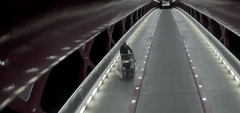 Police said it is believed the suspect destroyed approximately 70 windowpanes on the Peace Bridge on Sunday, July 24, 2022.