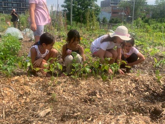 Kids learn about urban gardening during Sun Youth Day camp workshop in Outremont. July 21, 2022.