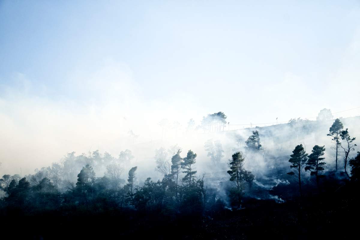 Italy wildfire