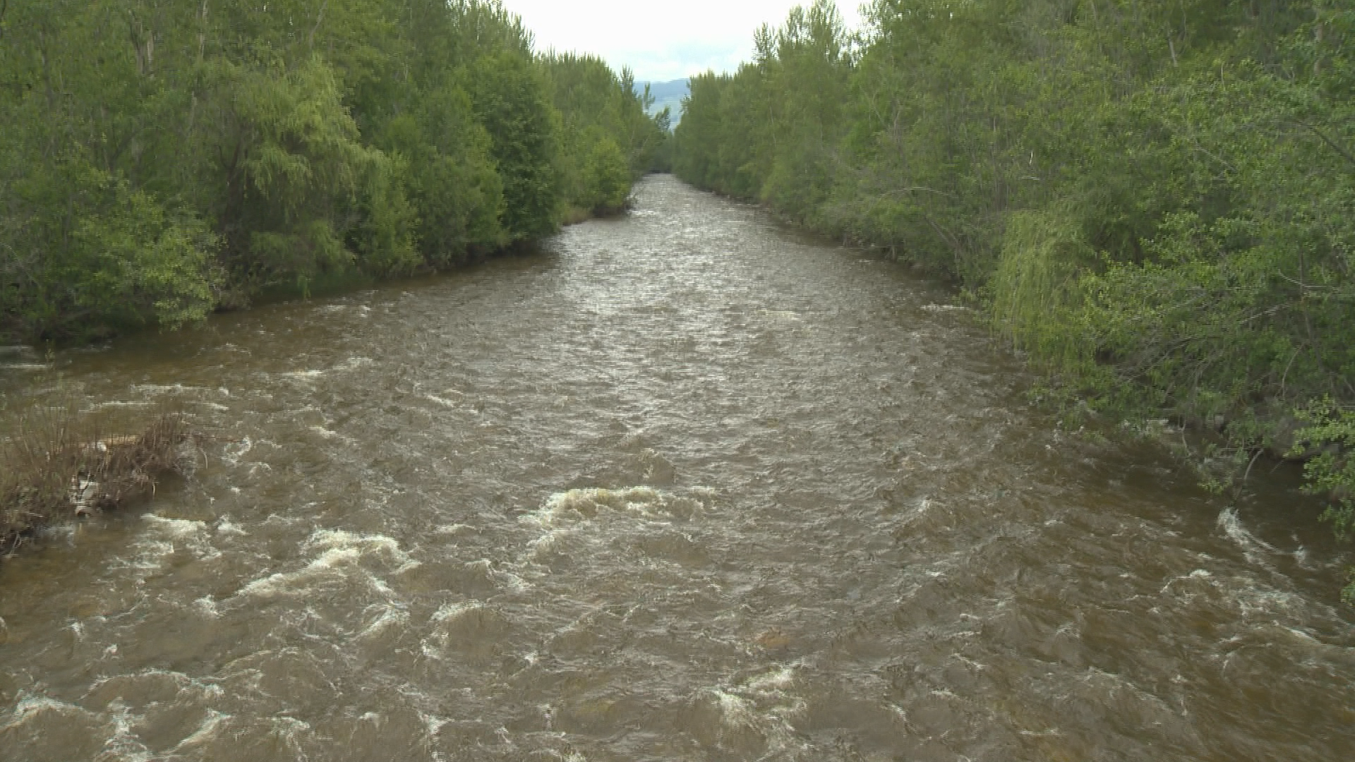 Mission Creek in Kelowna. 